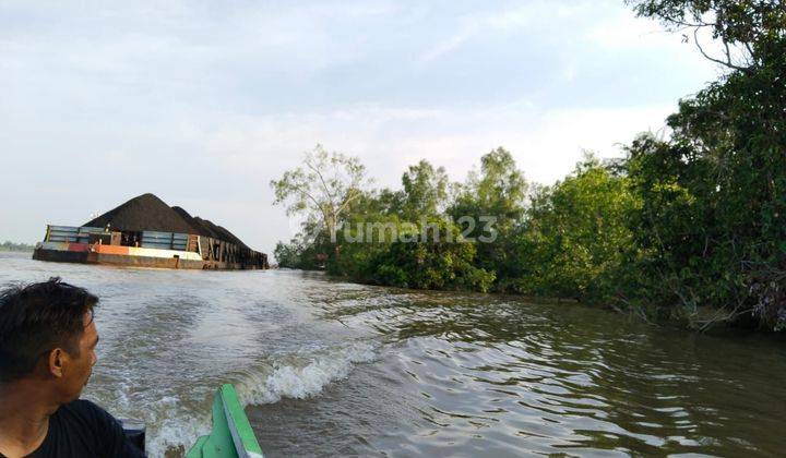 Lahan kutai kartanegara kalimantan timur 1