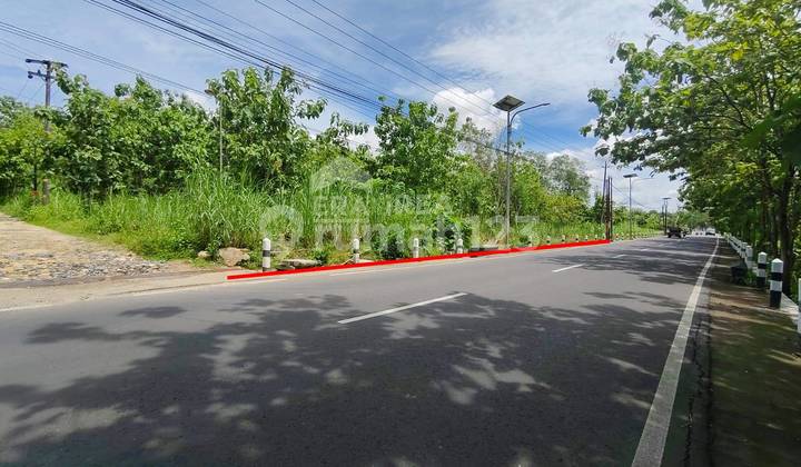 For Sale Land in Wonosari Gunungkidul Near Wonosari Regional Hospital