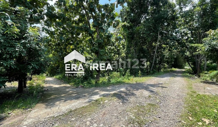 Tanah Dijual di Boyolali Dekat Rsud Simo Tanah Dijual di Boyolali Dekat Rsud Simo