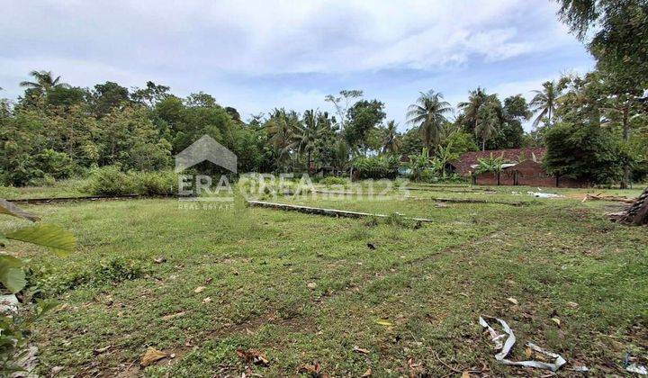 Tanah Jogja Dijual Murah Sentolo Kulon Progo 1