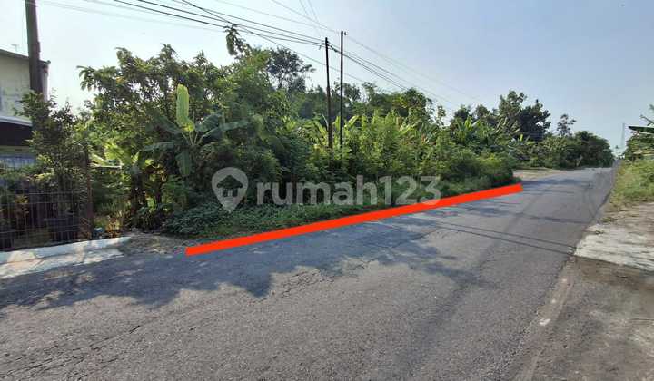 Tanah Jogja Dijual Minggir Sleman