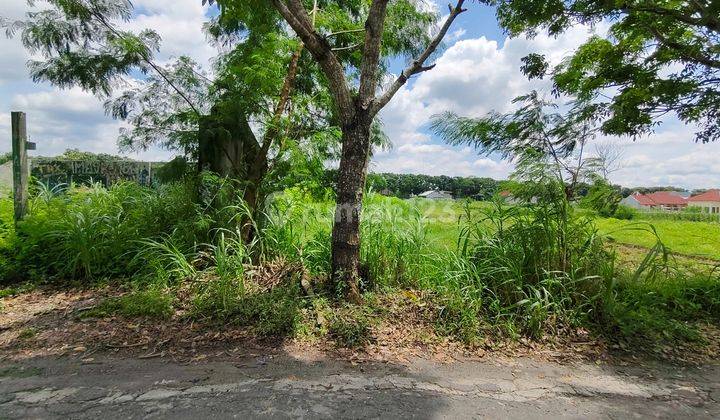 Tanah Jogja Dijual Murah Mlati Sleman 2