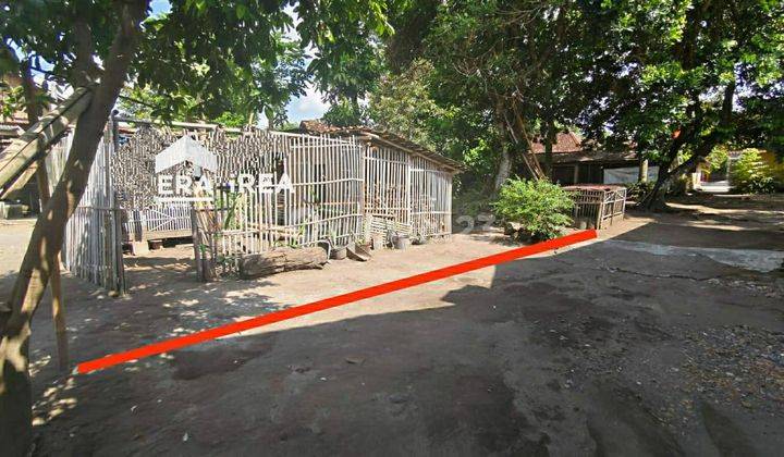 Tanah Murah Jogja Dijual Dekat Stadion Maguwoharjo 2