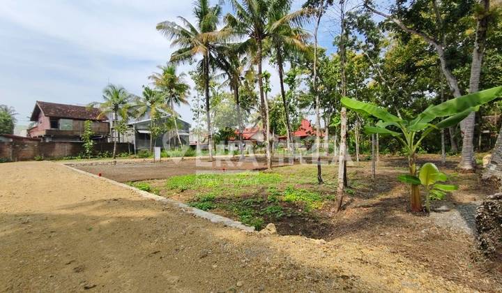 Dijual Tanah Murah Kulonprogo Dekat Alun-Alun Wates