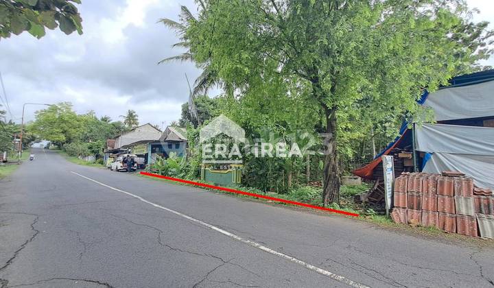 Tanah Jogja Dijual Dekat Terminal Sentolo Tanah Jogja Dijual Dekat Terminal Sentolo