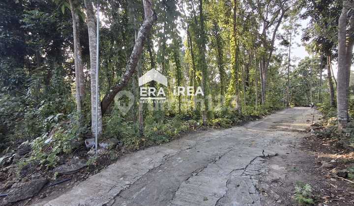 Cheap Land in Jogja, Sedayu Industrial Area, Bantul
