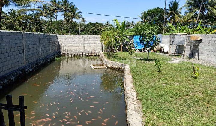 Rumah Jogja Dijual Dekat Pasar Tempel 2