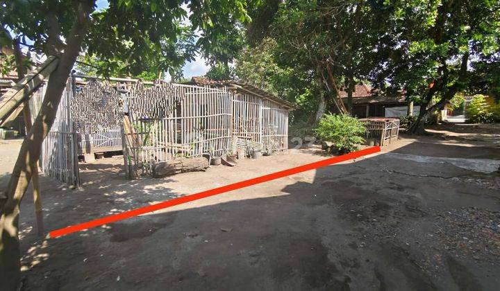 Tanah Murah Jogja Dijual Dekat Stadion Maguwoharjo 1