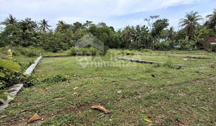 Tanah Jogja Dijual Sentolo Kulon Progo Dekat Kampus Pgri Wates 2