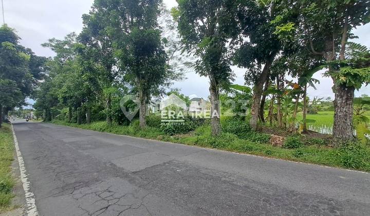 Tanah Dijual di Jogja Dekat Sleman City Hall