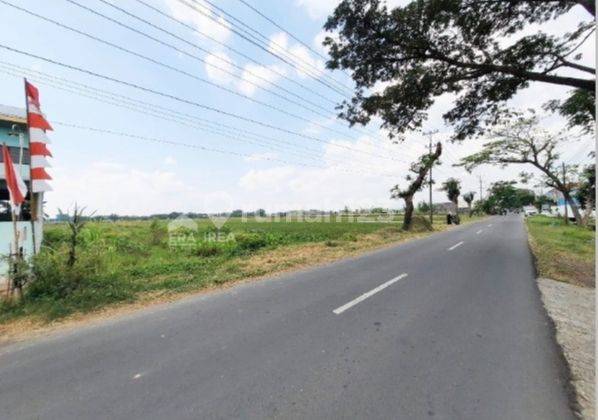 Tanah Murah Zona Merah Solo Jaten Karanganyar Area Industri  1