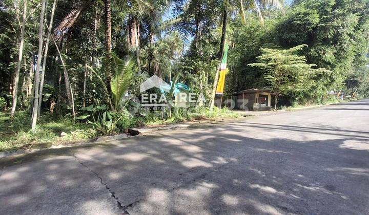 Cheap Land for Sale in Jogja Near Kaliurang Tourist Area