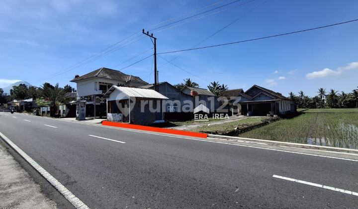 Tanah Murah Sleman Jogja Dekat Wisata Obelix Village Tanah Murah Sleman Jogja Dekat Wisata Obelix Village