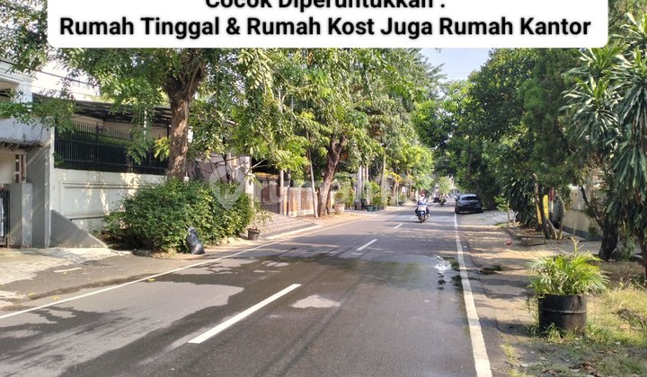Rumah Lama Murah Hitung Tanah Dekat Itc Cempaka Mas 2