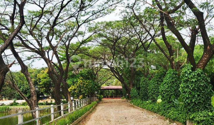 Quick Sale of 3.6ha Matured Land with SHM, Adjacent to Cikunir Main Road. Quick Sale of 3.6ha Matured Land with SHM, Adjacent to Cikunir Main Road.