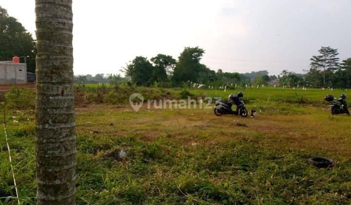 Tanah Darat di Tajurhalang Bogor 2