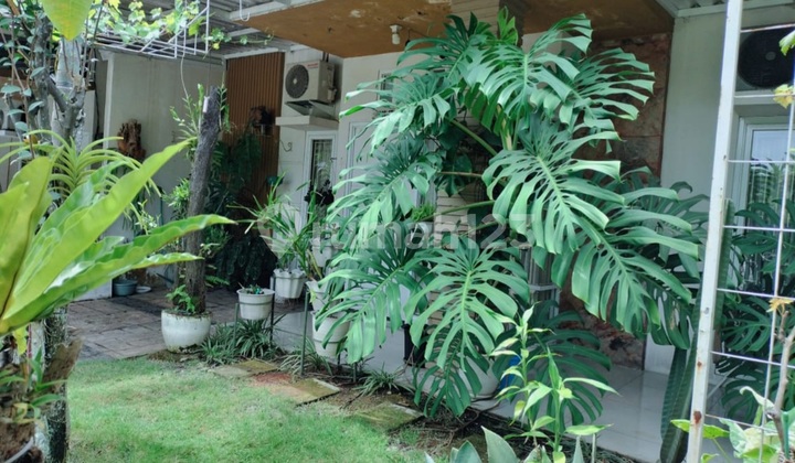 House in Ivory Mansion Cluster Cifest Cikarang Bekasi