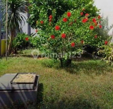 Dijual Rumah Murah di Bawah Njop di Jelambar