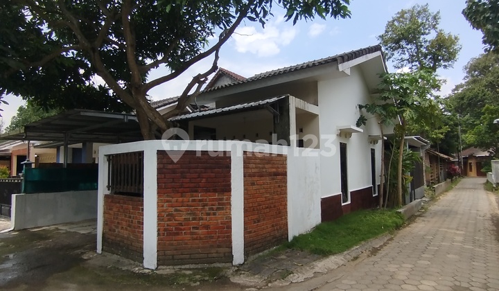 Cheap House Just a Step Away from Podean Market 2