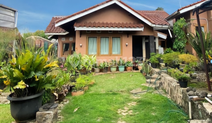 Rumah Villa 1 Lantai, Jl. Cendrawasih Tangsel, Cantik, Taman Luas Rumah Villa 1 Lantai, Jl. Cendrawasih Tangsel, Cantik, Taman Luas