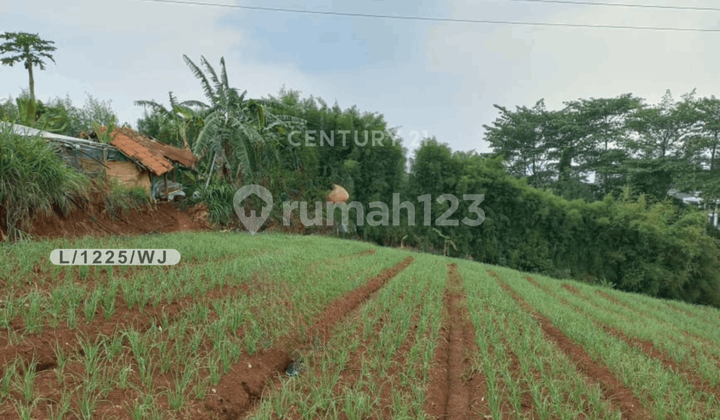 Tanah Luas Siap Pakai Lokasi Stratregis di Cimenyan Kab Bandung Tanah Luas Siap Pakai Lokasi Stratregis di Cimenyan Kab Bandung