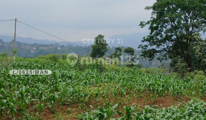 Tanah Luas 45876 M2 Hadap Barat SHM di Mekarsari Cimaung Bandung Tanah Luas 45876 M2 Hadap Barat SHM di Mekarsari Cimaung Bandung