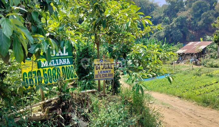 Tanah view cantik di lembah bajuri 2