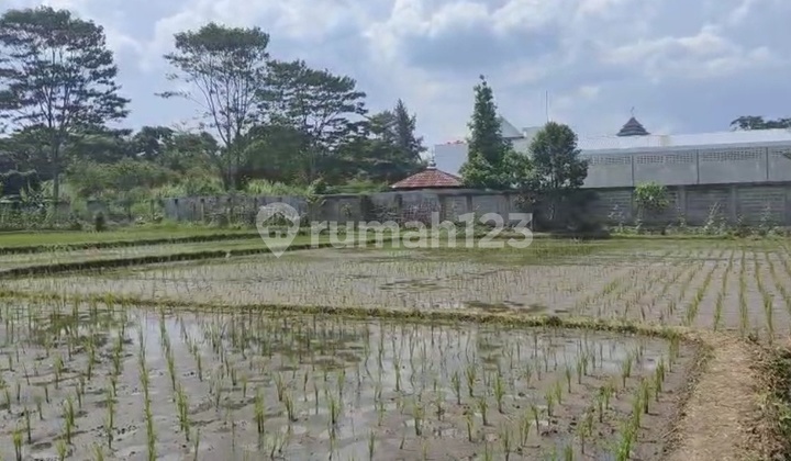 Kavling Soreang Bandung - Strategic Mainroad Location Kavling Soreang Bandung - Strategic Mainroad Location