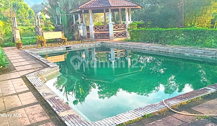 For Sale Cheap Spacious 3000 M2 Villa In Coolibah Complex Cimacan Cianjur For Sale Cheap Spacious 3000 M2 Villa In Coolibah Complex Cimacan Cianjur