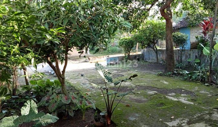 Rumah  murah di tegal Jawa tengah 5