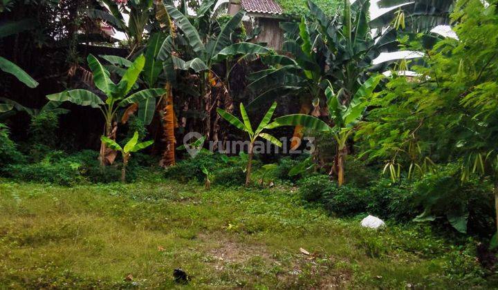 Dijual tanah 2Ha di tengah kota  cocok untuk bangun sekolah,cluster town house di Kemang Jaksel 1