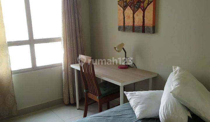 Sewa Studio Ff Elodea Apartemen The Springlake View Summarecon Bekasi 2