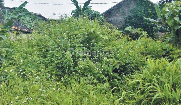 Tanah Sertifikat Hak Milik 655 M², Dekat Kalibanteng Cocok Kantor 6
