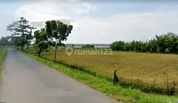 Tanah di Jalan Raya Wonosari Balok, Kendal Sertifikat Hm 5.650 m² 1