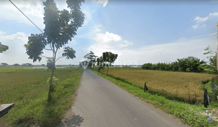 Tanah di Jalan Raya Wonosari Balok, Kendal Sertifikat Hm 5.650 m² 4