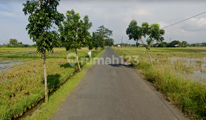 Tanah di Jalan Raya Wonosari Balok, Kendal Sertifikat Hm 5.650 m² 5