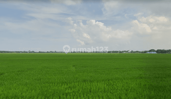 Rumah 2 Lantai Bagus Sekali SHM di Dusun Dasri Donosari, Kendal 6