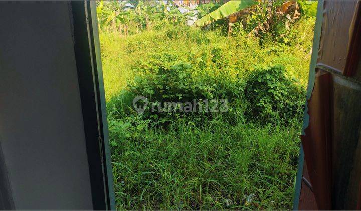 Rumah Baru di Perum Taman Anggrek Rejosari Kangkung, Kendal 8