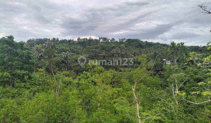 KUTA LOMBOK INVESTASI MENJANJIKAN 2