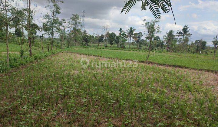 LAHAN MURAH DI DEPAN RS QOMARUL HUDA 2