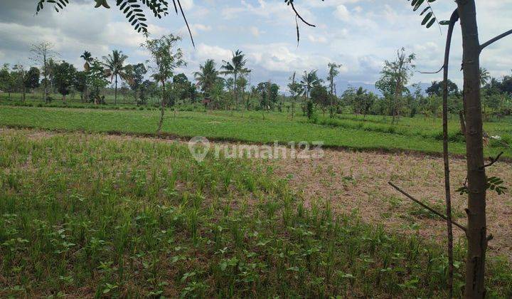 LAHAN MURAH DI DEPAN RS QOMARUL HUDA 1