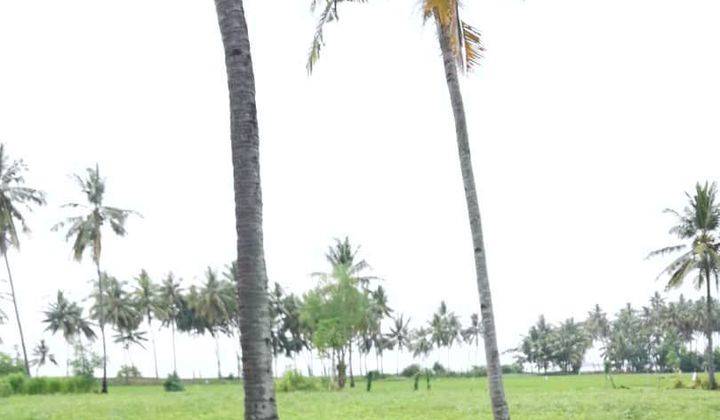 Beach Front Gondang North Of Lombok 2