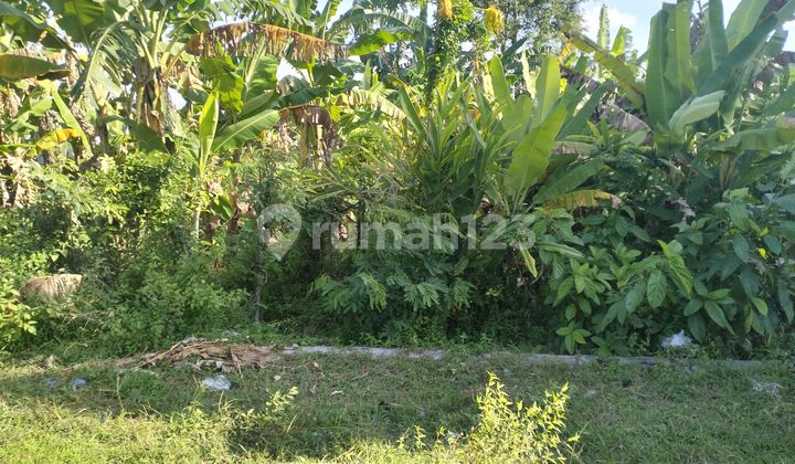 Land beside Jonggat Highway