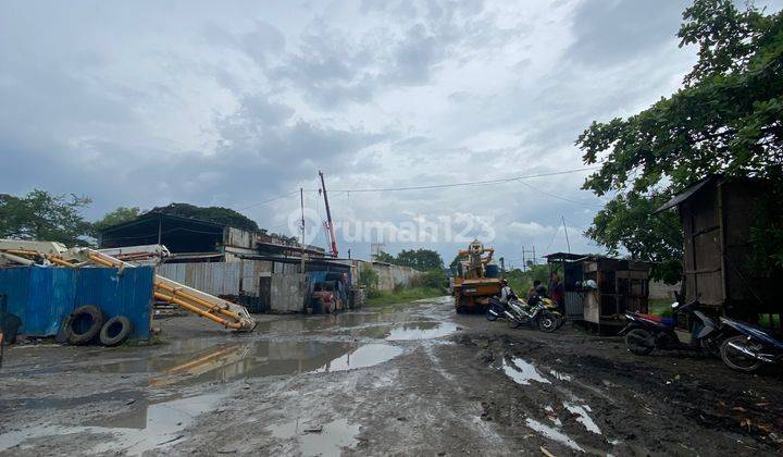 Tanah Rawa Bokor Hanya 1 Menit Ketol Bandara Rawa Bokor  1