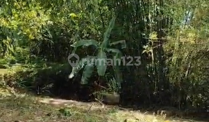 Land Ready to Build in a Square Shape, Serene and Comfortable Atmosphere in Tangerang. Land Ready to Build in a Square Shape, Serene and Comfortable Atmosphere in Tangerang.