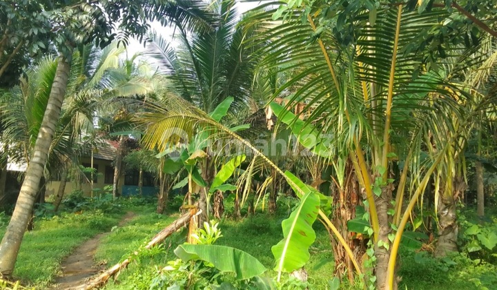 Strategic Flat Land Near Toll Road, With Business Centers, Schools, and Government Offices in Balaraja Tangerang Strategic Flat Land Near Toll Road, With Business Centers, Schools, and Government Offices in Balaraja Tangerang