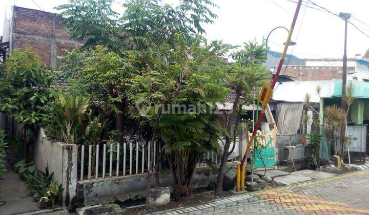 Rumah Shm Wisma Tropodo Murah Hitung Tanah  1