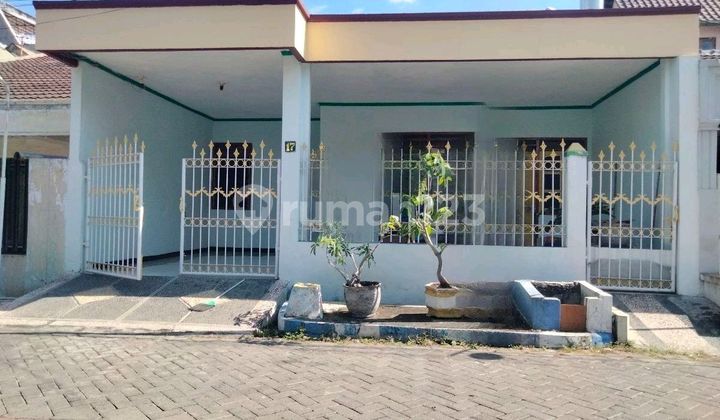 Harga Damai Sutorejo Utara Rumah Siap Huni Dekat Its Dan Unair