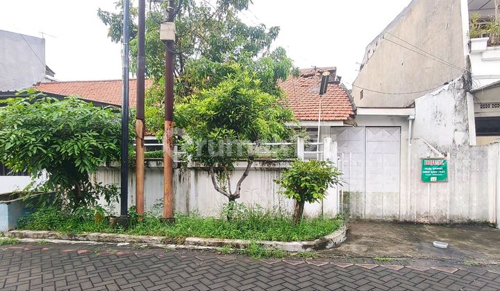 Rungkut Asri Dijual Cepat Rumah Hitung Tanah Dekat Merr Rungkut Asri Dijual Cepat Rumah Hitung Tanah Dekat Merr
