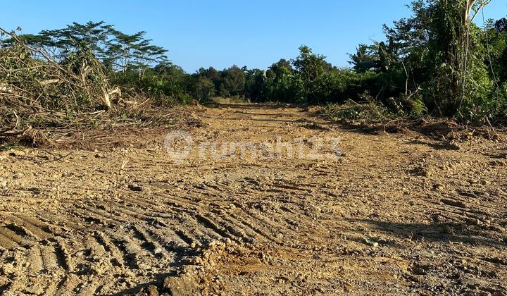 Tanah Syariah Murah Strategis Disamping STIKES Batara Guru WOTU